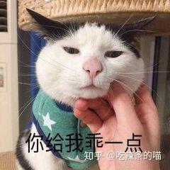 哪些表情包让你看一次笑一次?