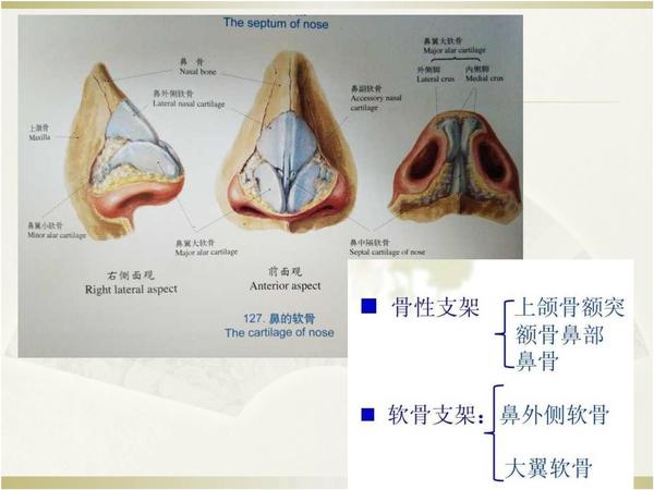 鞍鼻整形,一个让人羡慕的鼻子