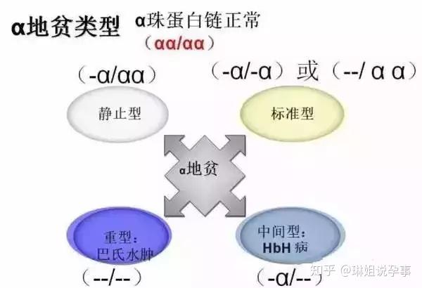 如何预防地中海贫血症遗传给下一代?