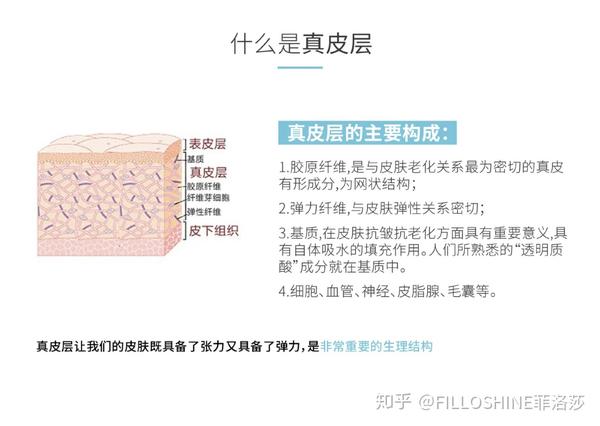 2mm,表皮由外到内分为5层:角质层,透明层,颗粒层,棘细胞层,基底层.