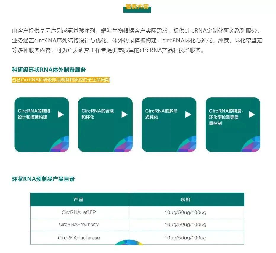 耀文解读综述 一文读懂最新环状RNA circRNA 的基础研究与治疗应用进展 知乎