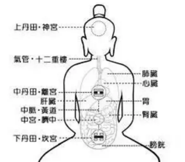 其主要功能是可以形成神息相依,神气相抱的态势,从而激发丹田气机.