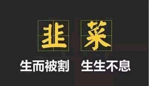 做什么副业可以拥有"睡后收入"呢?