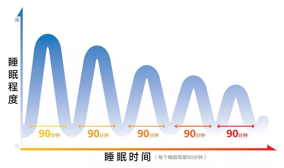 科普|关于睡眠周期&如何实现高效睡眠?