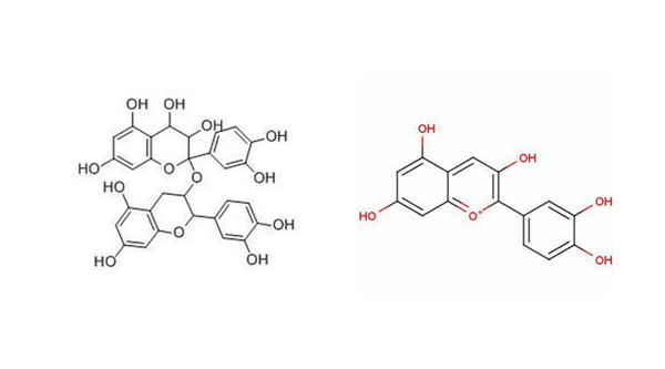 左图为原花青素分子结构;右图为花青素分子结构