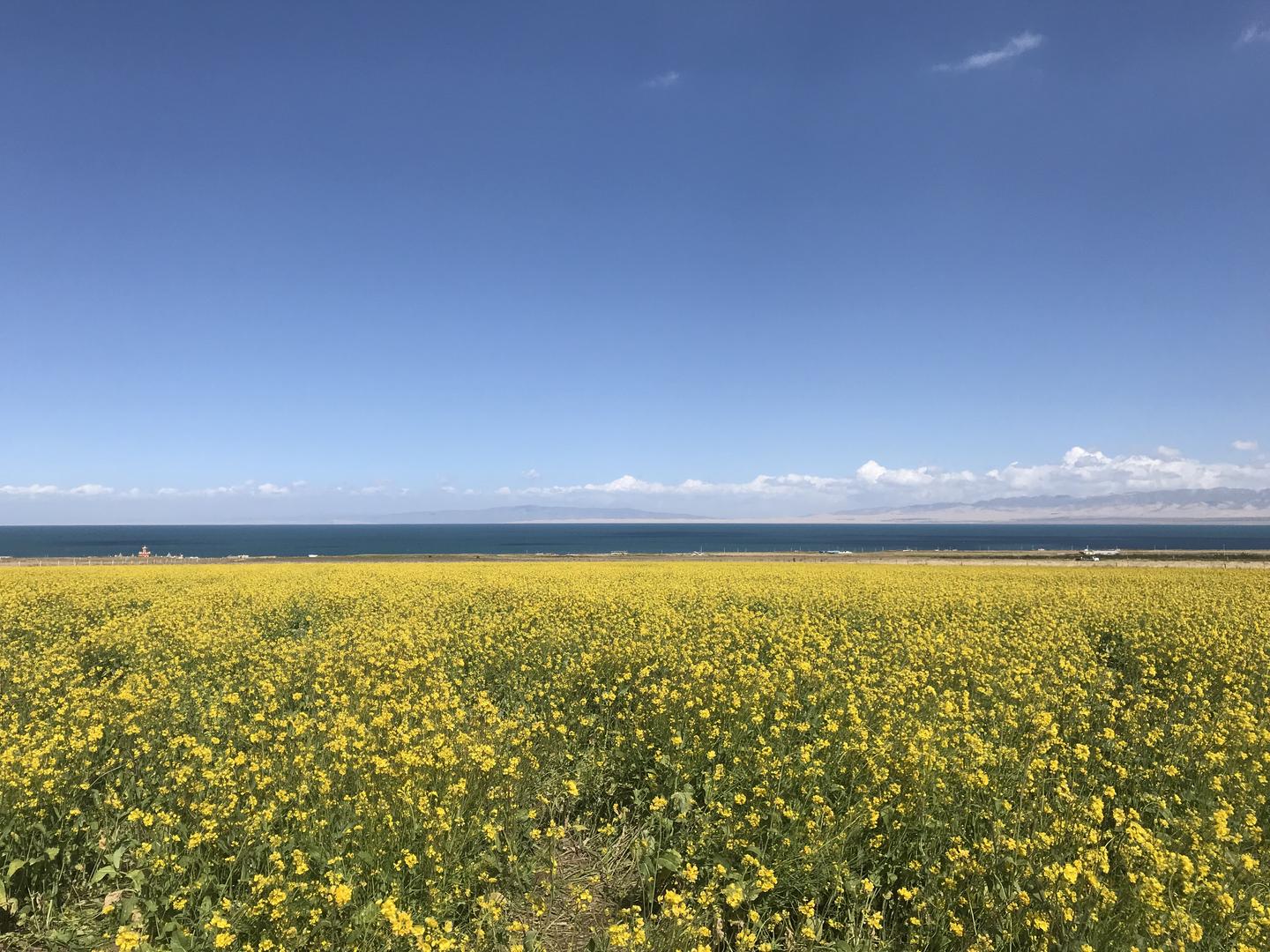 青海湖茶卡盐湖旅游小攻略