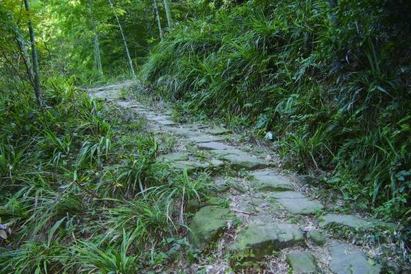 鸦山古道是一条小众的徒步线路,新手一定要秋季去