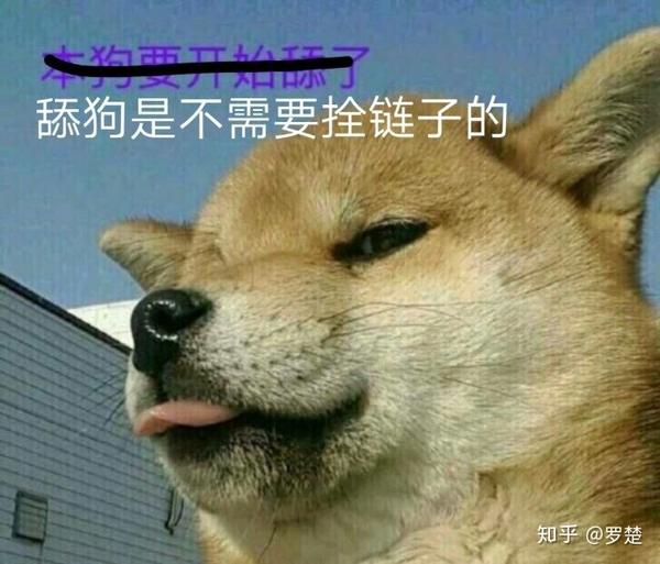 舔狗到底有多卑微?