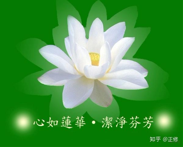布施,持戒,忍辱,精进,禅定,般若,才会最终明悟佛心自性莲花绽放"一
