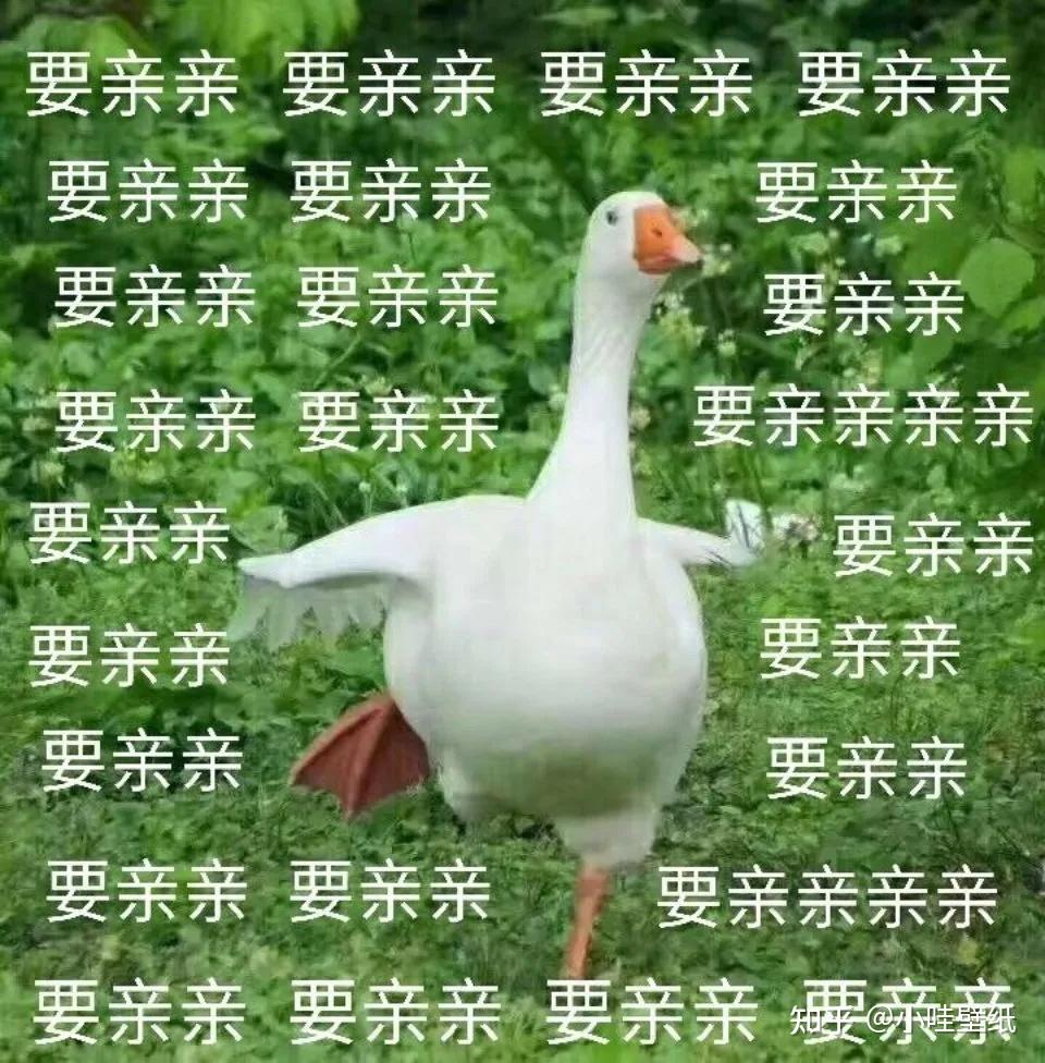 有没有情侣之间用的亲亲的表情包