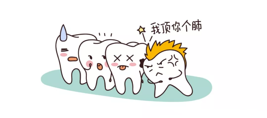你了解你的智齿吗