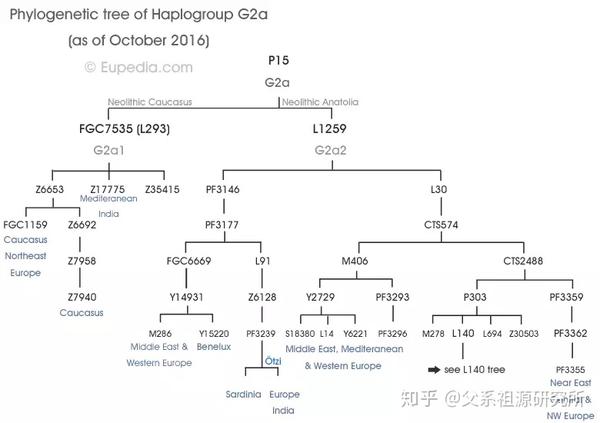 父系单倍群g2a