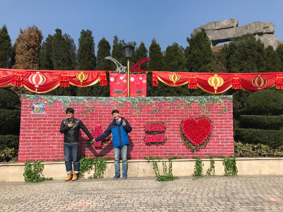 车型眼中开手动挡女生的是的女生。?-车适合男生的开100万图片