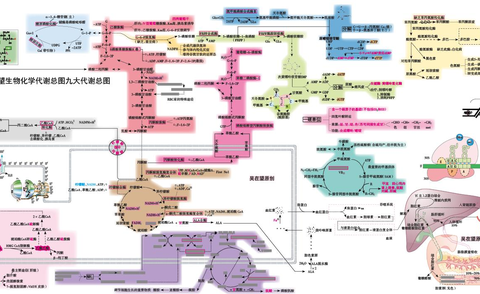 生化九大代谢图/生化三大代谢图的背诵方法/基础生物化学/代… 阅读