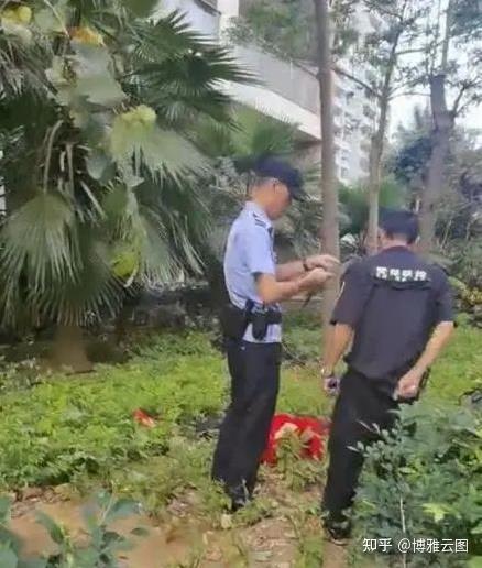 三亚女子跳舞坠楼引发全网舆论聚焦 知乎