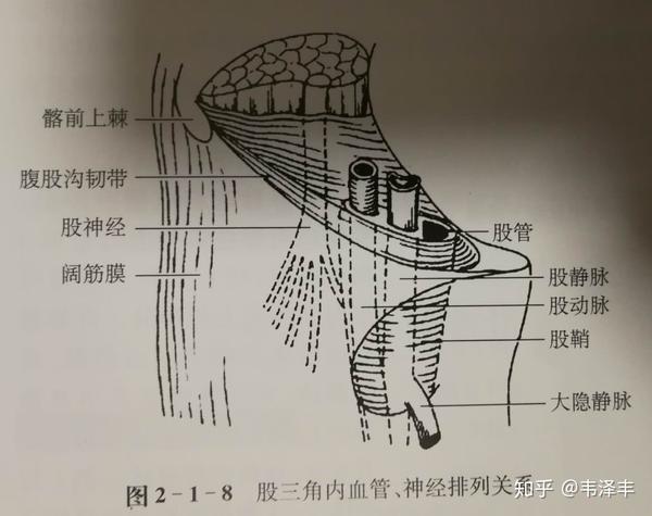 股静脉置管你是否也遇到过