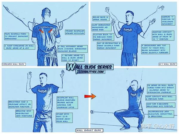 滑墙能够以动态和静态的稳定性来训练肩胛周围的肌肉——在手臂动作中