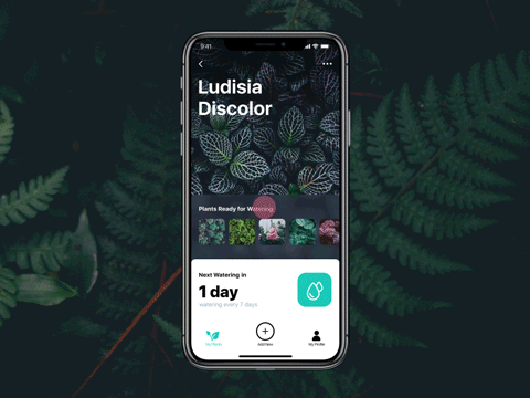浇水监测移动app用户体验