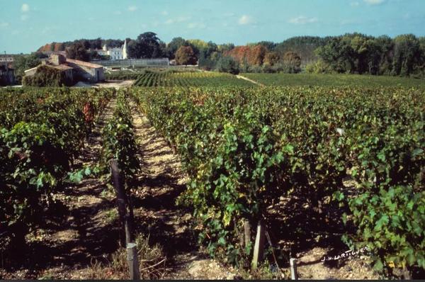 法国波尔多(bordeaux)上梅多克(haut-medoc)的波依雅克(pauillac)产区