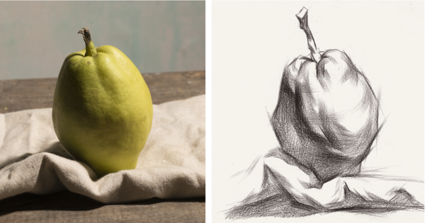 素描静物苹果和梨子全面解析你可一定要把握住