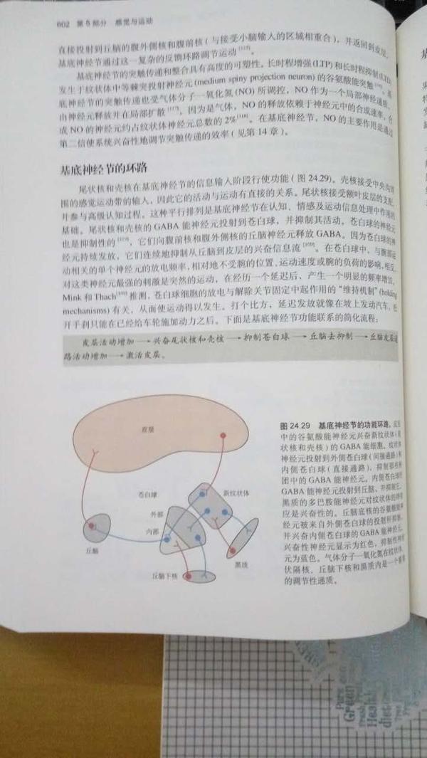 目前教科书对基底神经节几个主要核团之间的神经投射的描述是准确的吗