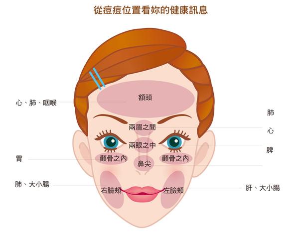 都是你的身体在向你报警; 而长痘的位置可以反映出 你体内哪个器官