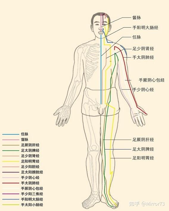 全身按摩图解 - 知乎