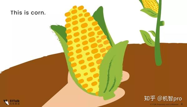 蔬菜园 这是我们的蔬菜园 这是土豆 this is corn.