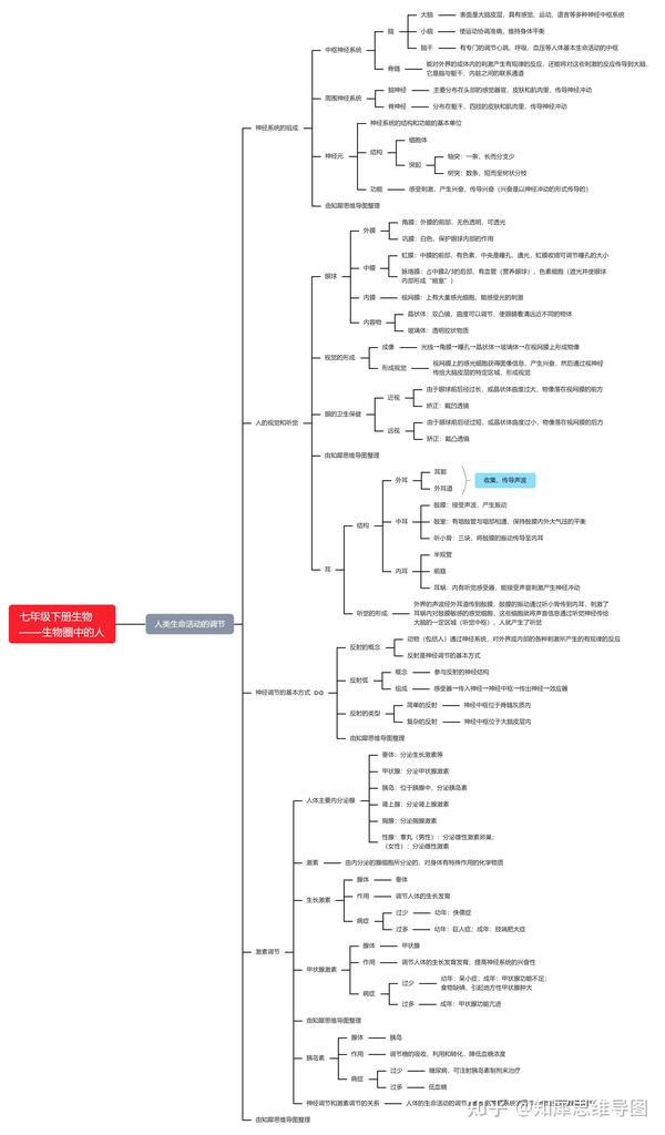 七年级下册生物思维导图,初一生物知识点脑图整理_知犀思维导图