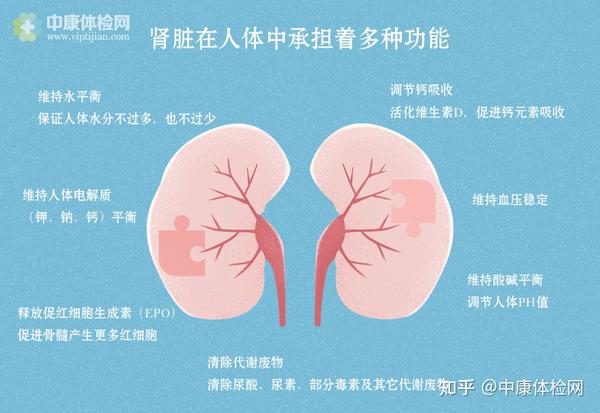 查出肾衰竭就离尿毒症不远了?医生:这种情况还有救