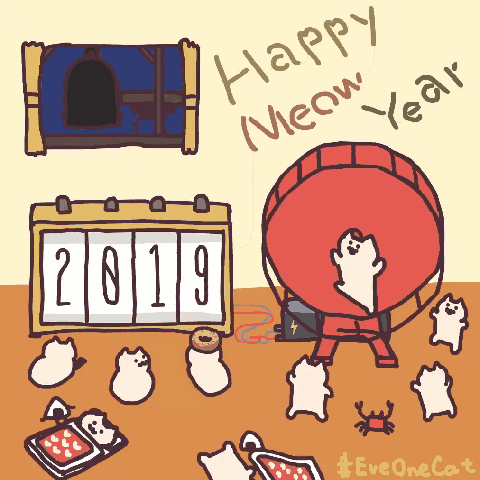 今日推荐表情包每日一喵eveoncat