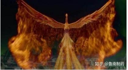 香蜜沉沉烬如霜神仙"长生不老"的秘密在这里!