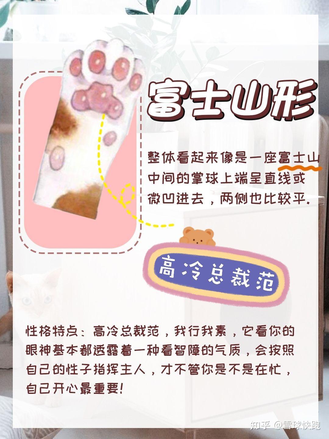 猫咪手相看性格快来看看你家猫是什么性格