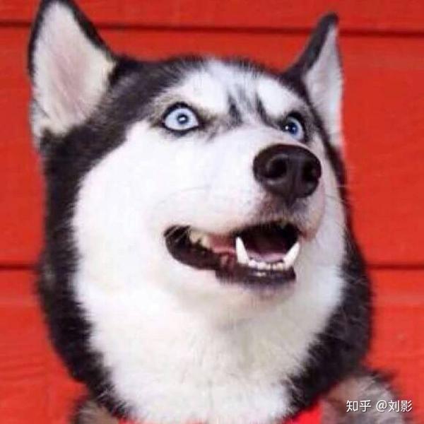 有没有不像情侣头像的情侣头像?