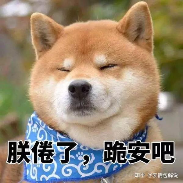 柴犬表情包