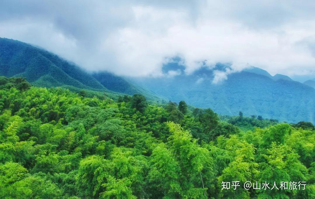 赤水竹海国家森林公园,位于贵州省赤水市城东四十余公里.