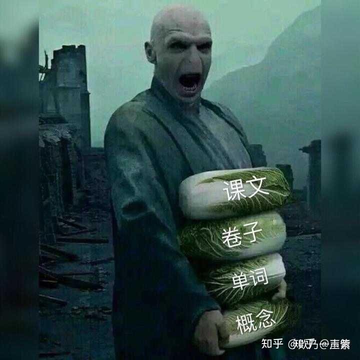 如果伏地魔是一个沙雕会怎么样