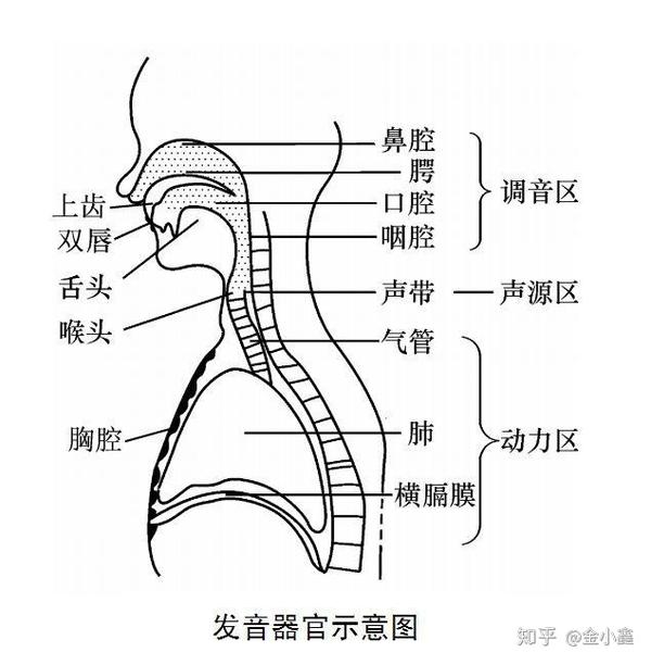 你为什么总是朗读不好文章?可能是这几个方面存在问题