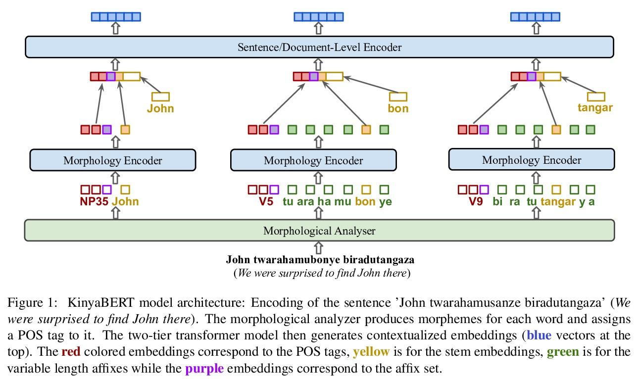 5,[cl] kinyabert: a morphology-aware kinyarwanda language model