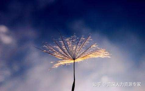 销量第一的《原则》说:痛苦 反思=进步,可以有进步而没痛苦吗