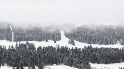 传奇的汝拉山谷 vallée de joux