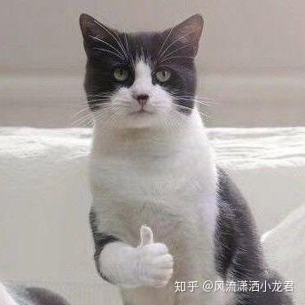 再接再厉