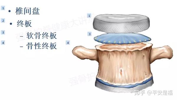 腰椎间盘突出了,能让它缩回去或自动消失吗?