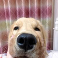 王思梦