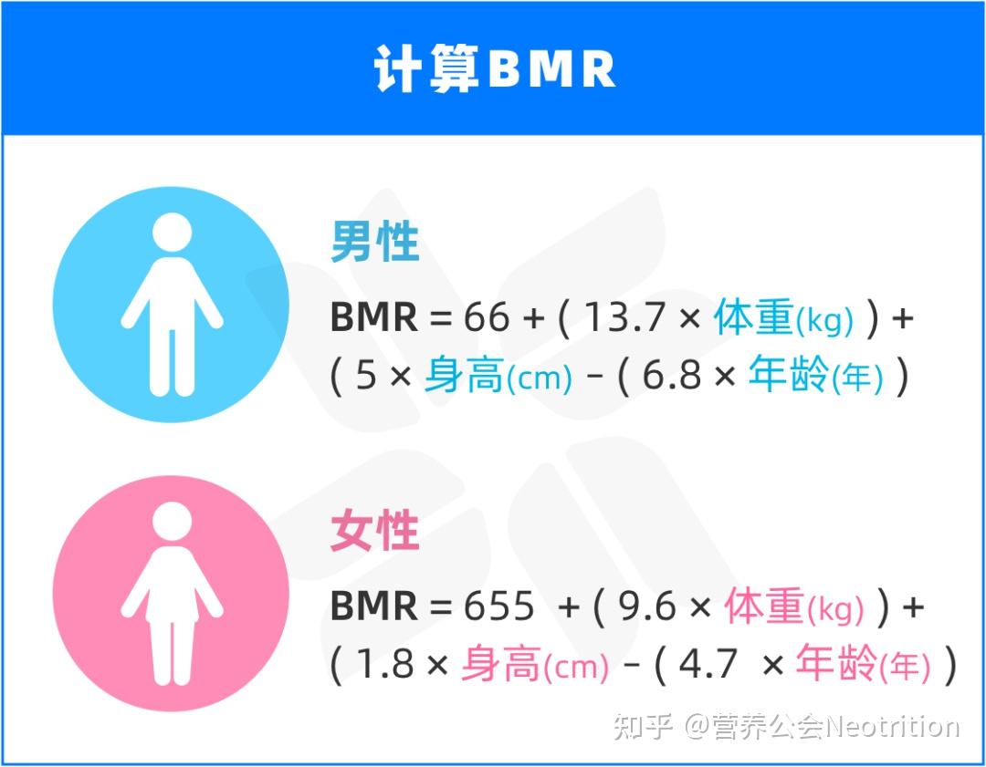 如何使用Harris Benedict 公式 知乎