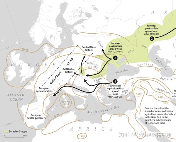 全新世中东农夫与东欧草原人群向欧洲的迁徙