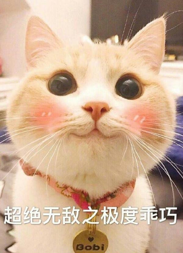 有没有被夸之后用来回复的表情包?