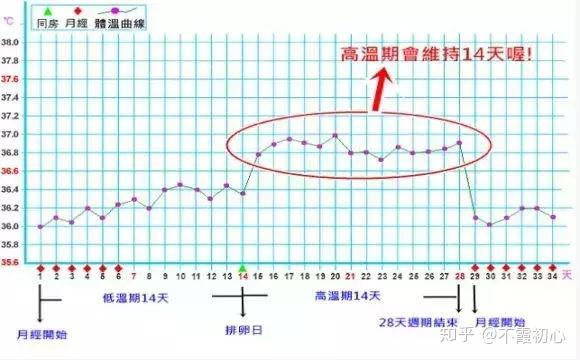 基础体温开始变化