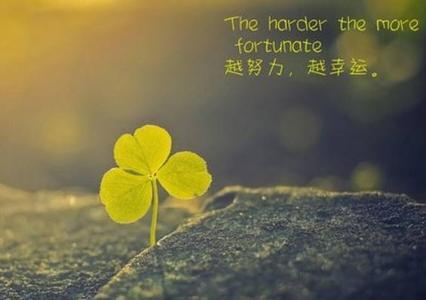 这26条老交易者的真实感悟,你不得不看!