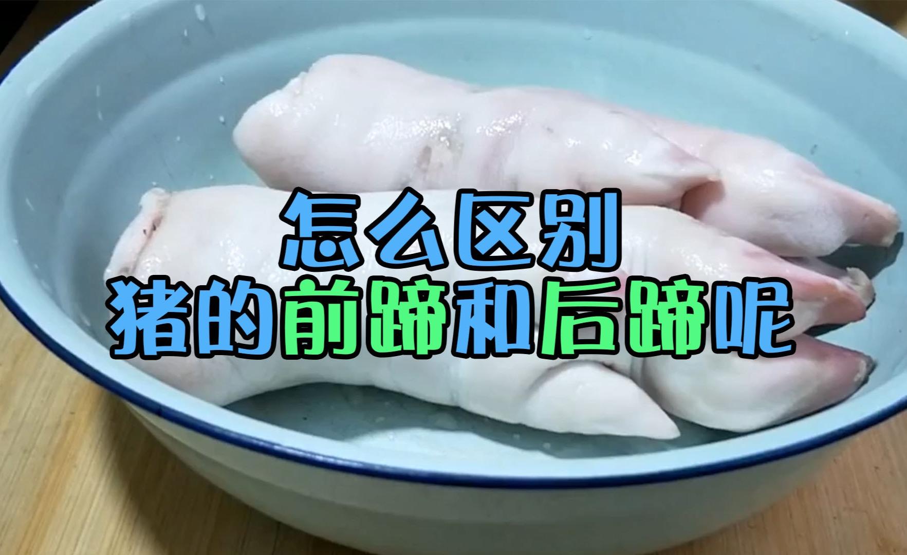 猪蹄的前蹄和后蹄有什么不一样?怎么区分呢?